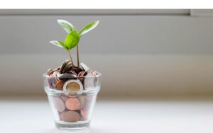 Plant growing in clear glass pot filled with coins